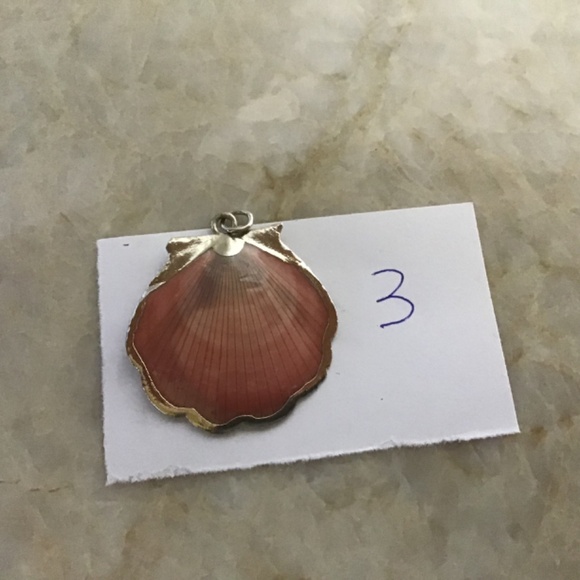 Choice of 2 Seashell Pendant with Electroplated Silver or Gold Edges. - Picture 11 of 12